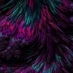 Nishan Das photo on Jungo Live