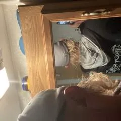 Billyg photo on Jungo Live