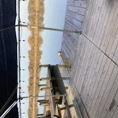 Billyg photo on Jungo Live