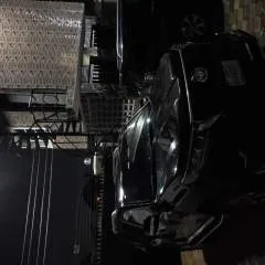 Dino photo on Jungo Live