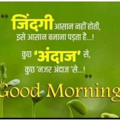 Raj photo on Jungo Live