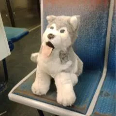 Wxcvbn....qsdfghjklm photo on Jungo Live