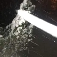 Djoko44g photo on Jungo Live