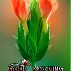 Dk photo on Jungo Live