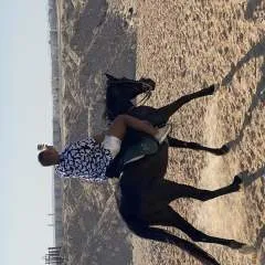 Leo photo on Jungo Live