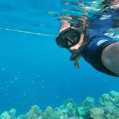 Leo photo on Jungo Live