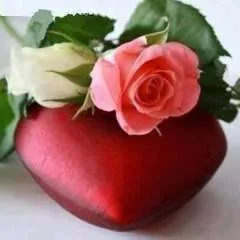 Linda Scott photo on Jungo Live