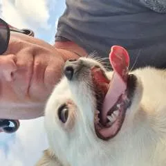 Sexguy photo on Jungo Live