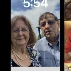 Bulldog photo on Jungo Live