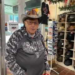 Bulldog photo on Jungo Live