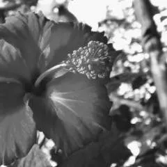 পার্থ photo on Jungo Live