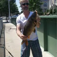 Usedcarguy photo on Jungo Live