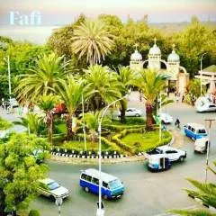 Alex photo on Jungo Live