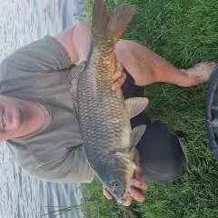 Summer photo on Jungo Live