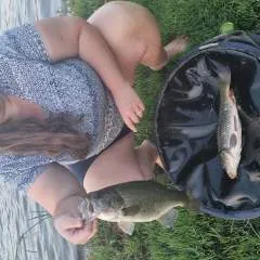 Summer photo on Jungo Live