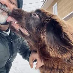 Silly_carlos photo on Jungo Live