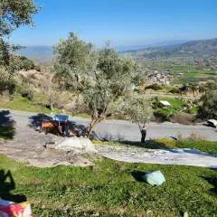 Nnnn photo on Jungo Live