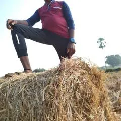 Dinku photo on Jungo Live