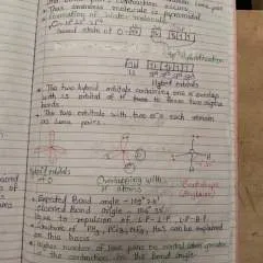 Neel photo on Jungo Live