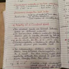 Neel photo on Jungo Live