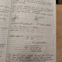 Neel photo on Jungo Live