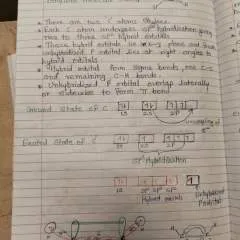 Neel photo on Jungo Live