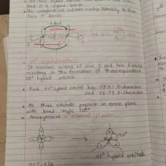 Neel photo on Jungo Live