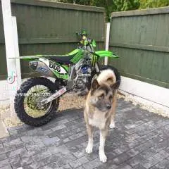 Bam Bam photo on Jungo Live