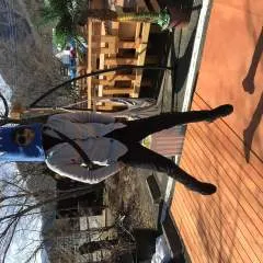 Paolo photo on Jungo Live