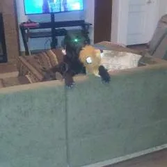 ....jp photo on Jungo Live