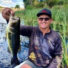 Buffalo85 photo on Jungo Live