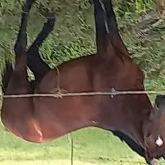 Danny photo on Jungo Live