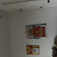 Tony photo on Jungo Live