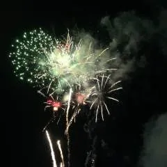 David photo on Jungo Live