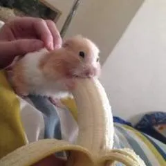 Sexyblondy photo on Jungo Live