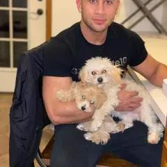 Teddy photo on Jungo Live