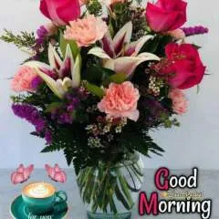 Lov photo on Jungo Live