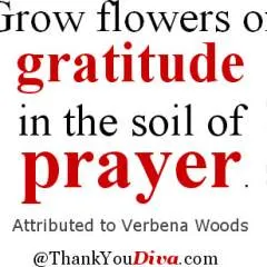 Khalykou photo on Jungo Live