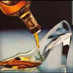 Vovik photo on Jungo Live