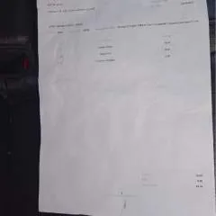 Momo photo on Jungo Live