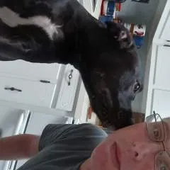 Adam1 photo on Jungo Live