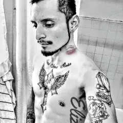 Alby.... photo on Jungo Live