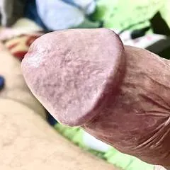 Bigbull photo on Jungo Live