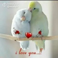 Arun photo on Jungo Live