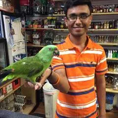 Harry photo on Jungo Live