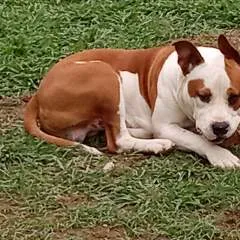 Jayjay photo on Jungo Live