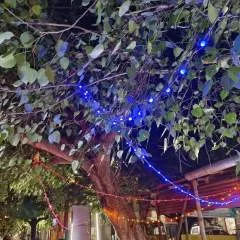 Surven photo on Jungo Live