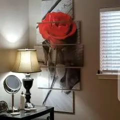 Amanual photo on Jungo Live