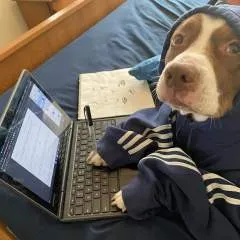 Topmoto photo on Jungo Live