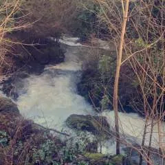 Rd93 photo on Jungo Live